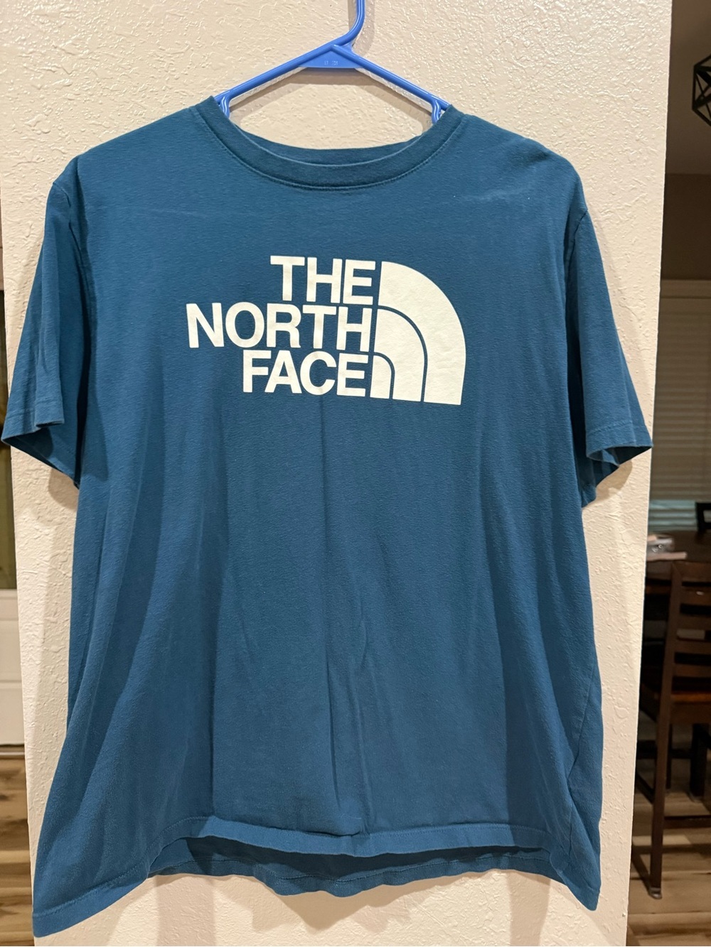 The North Face Teal Blue Logo Short Sleeve Tee
